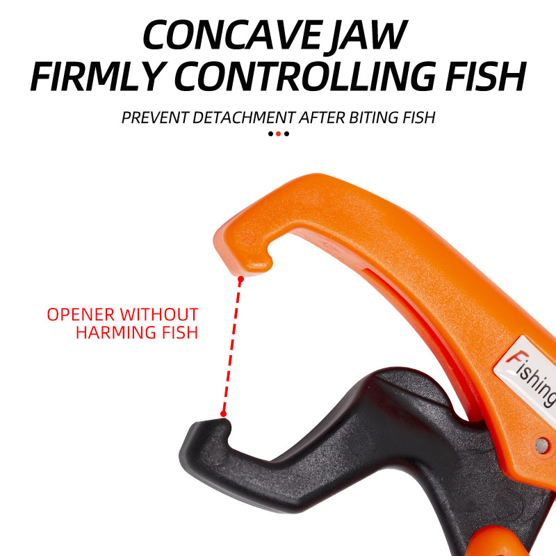 ShareShark Fischgreifer aus AB – Fishing Line Dispenser Bewertung und Preis